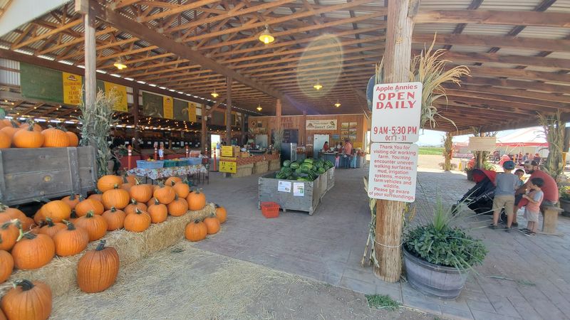 Make A Fall Farm Day In Willcox, Arizona