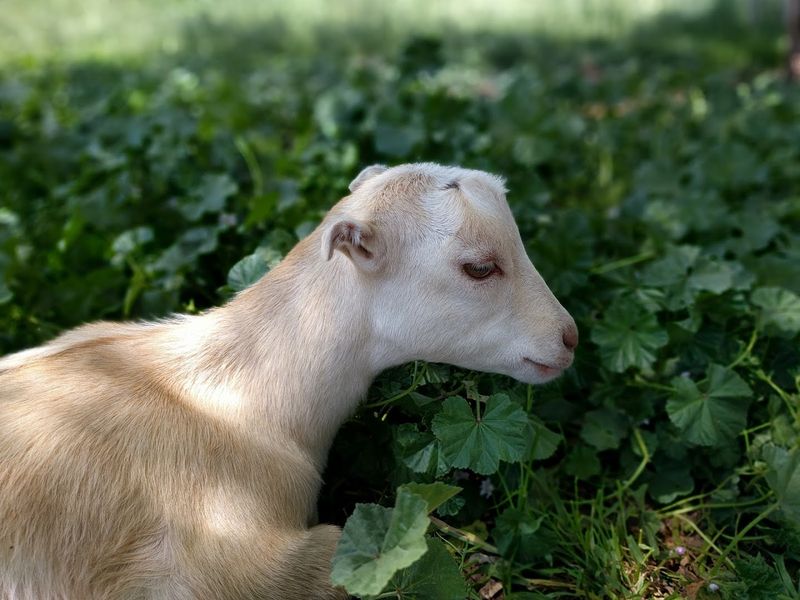 Final Verdict: A Boulder Experience Worth Booking Before You Talk Yourself Out Of It