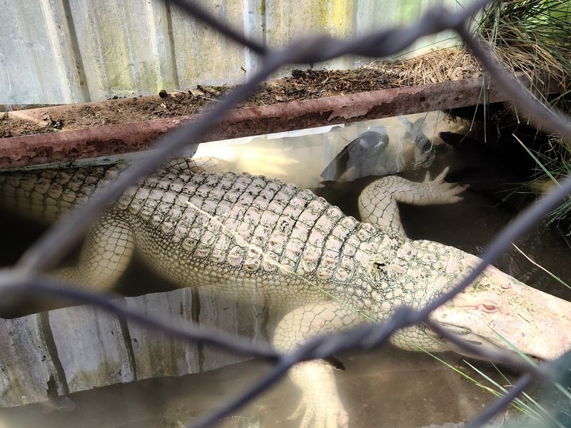 Final Verdict: The Stop You Will Talk About Long After The Trip Ends