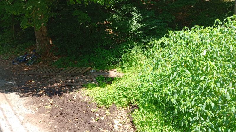 Send This To Your Group Chat