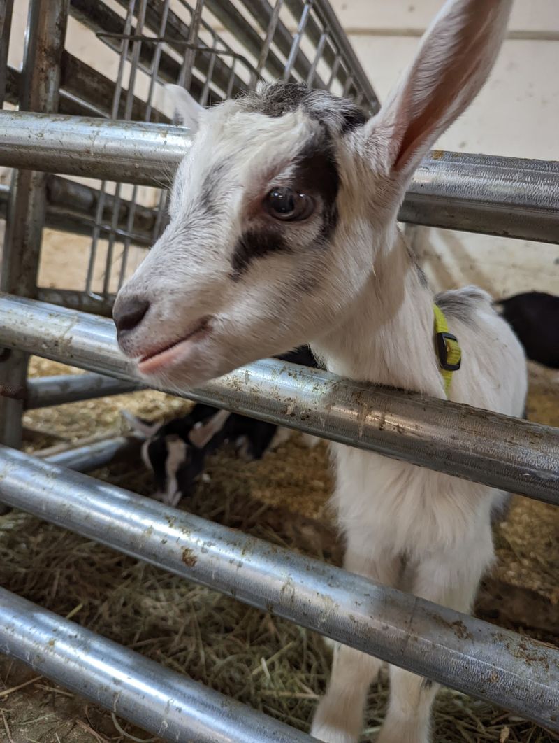 Make Time For The Barns