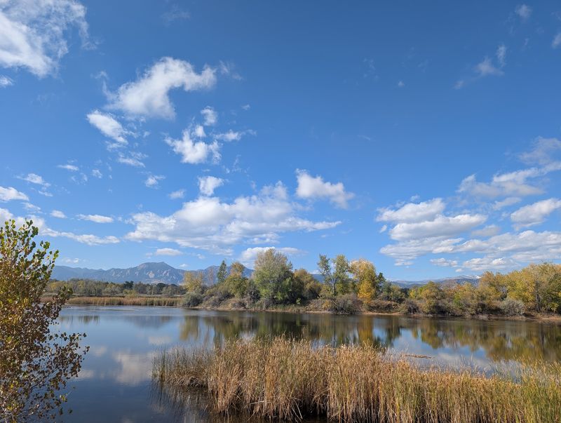 Making A Full Morning Of It - How To Plan Your Walden Ponds Visit Making A Full Morning Of It - How To Plan Your Walden Ponds Visit