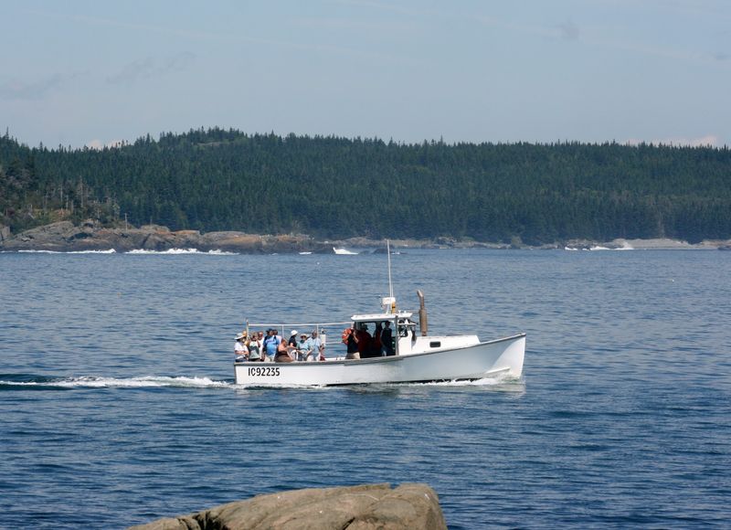 Making It A Downeast Maine Road Trip