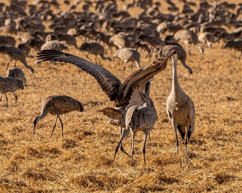 Final Verdict: A Refuge That Earns Every Star Of Its 4.7 Rating