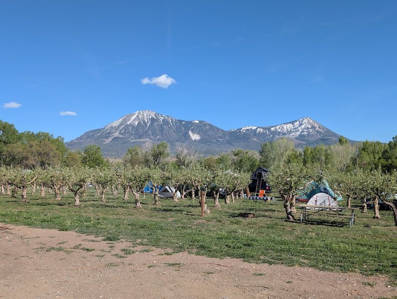 Final Verdict: The Orchard That Earns The Detour