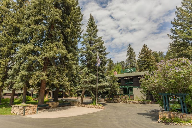 Making It A Mini Plan Around Evergreen