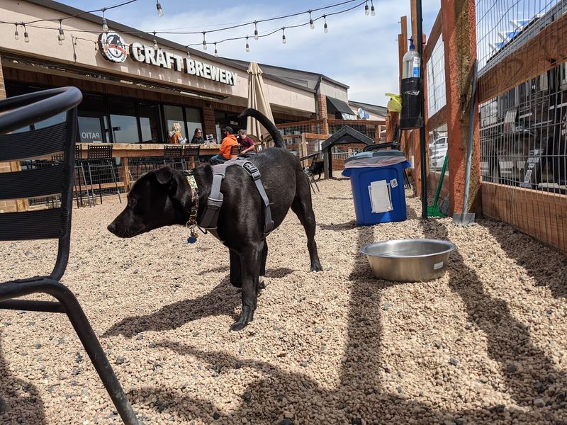 Making It A Mini Plan: The Perfect Pre- Or Post-Errand Stop In Littleton Making It A Mini Plan: The Perfect Pre- Or Post-Errand Stop In Littleton