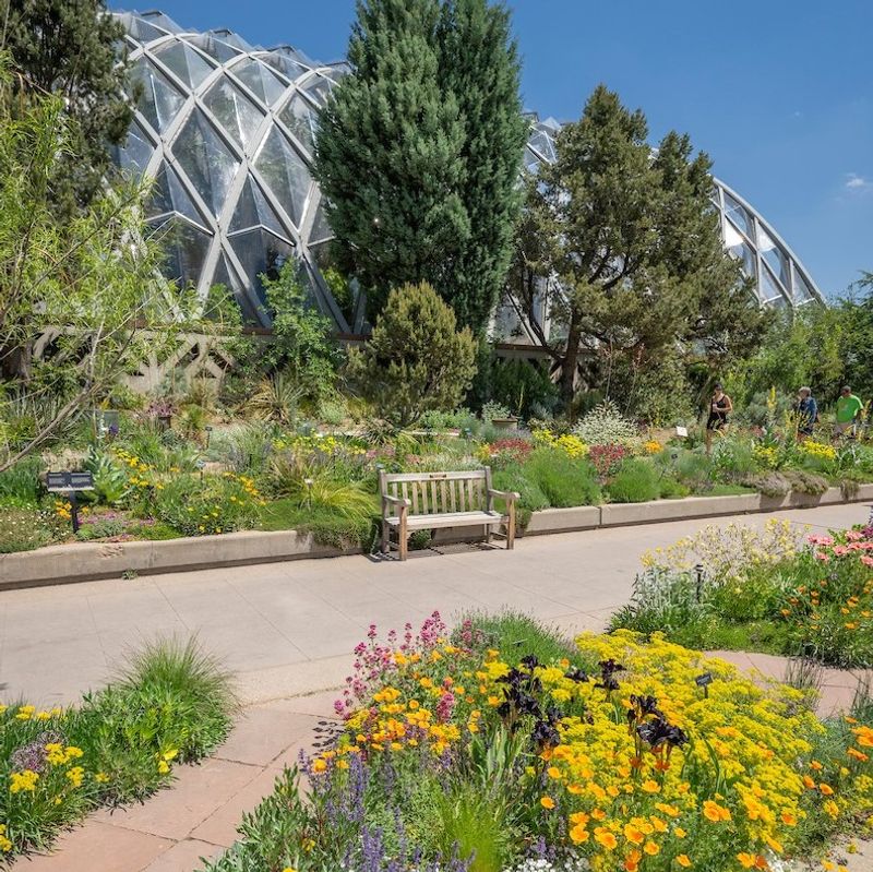 Final Verdict: Why This Garden Sticks With You