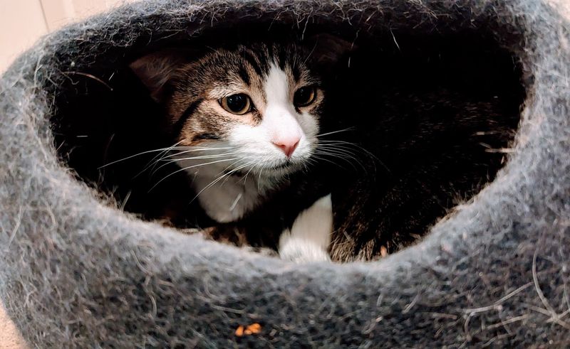 Events That Turn a Visit Into Something More