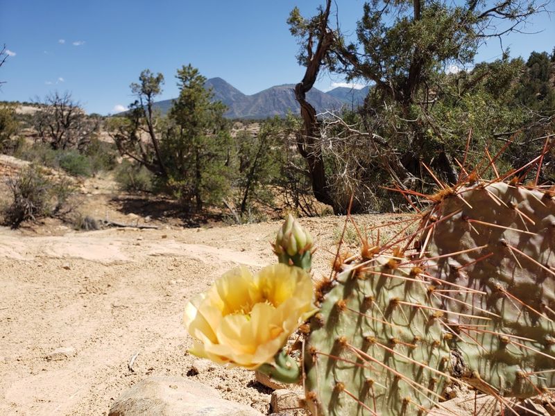 Final Verdict: A Trail That Earns Its Reputation