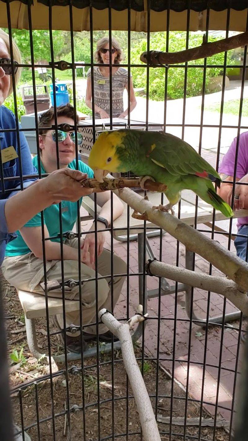 The Accessibility Factor: A Zoo That Works for Everyone