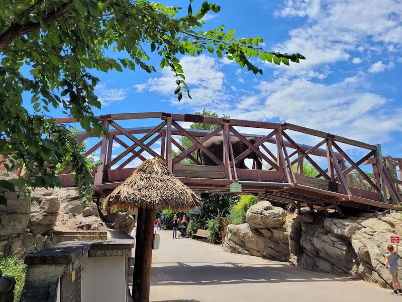 Photography Tips for Getting the Most From the Light Displays