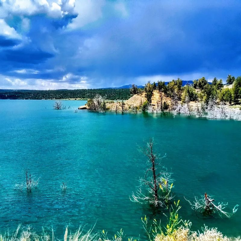 Making Lake Nighthorse Your Effortless Summer Plan