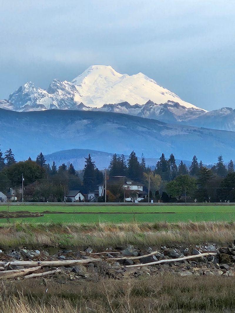 Making a Day of It in Skagit County
