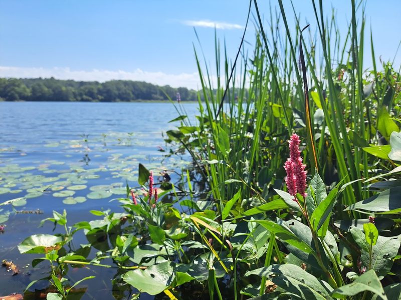 Punderson State Park, Newbury, Ohio