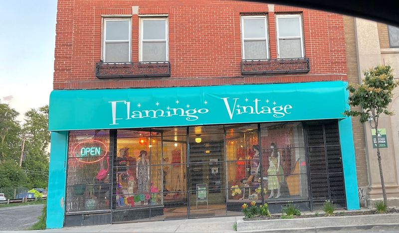 Flamingo Vintage, Detroit