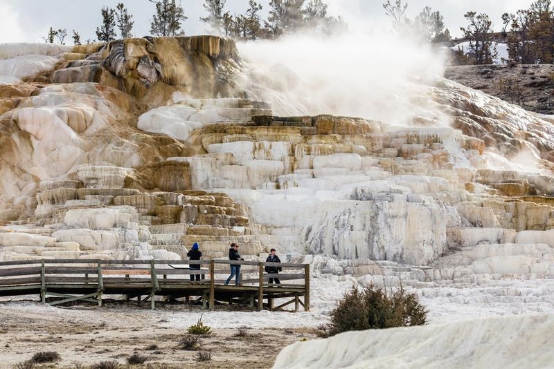 Mammoth Hot Springs Mammoth Hot Springs