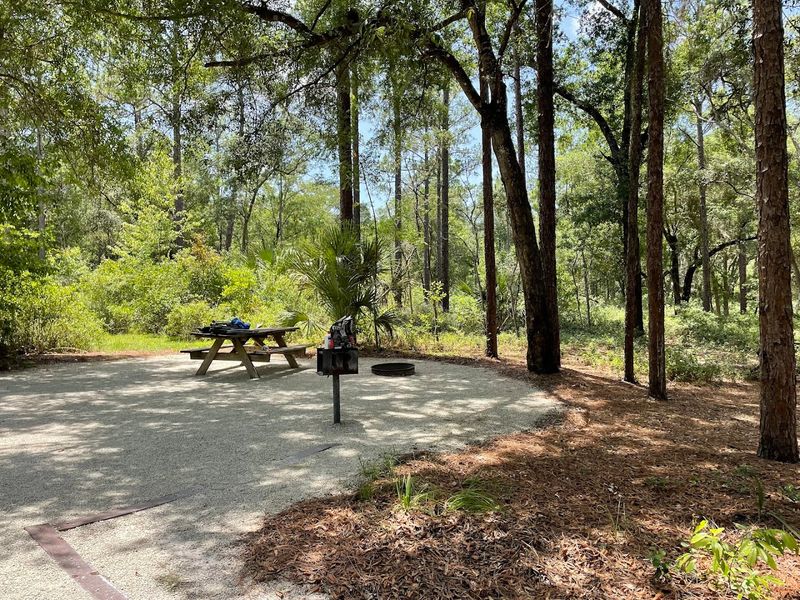 Silver Springs State Park Campground, Silver Springs