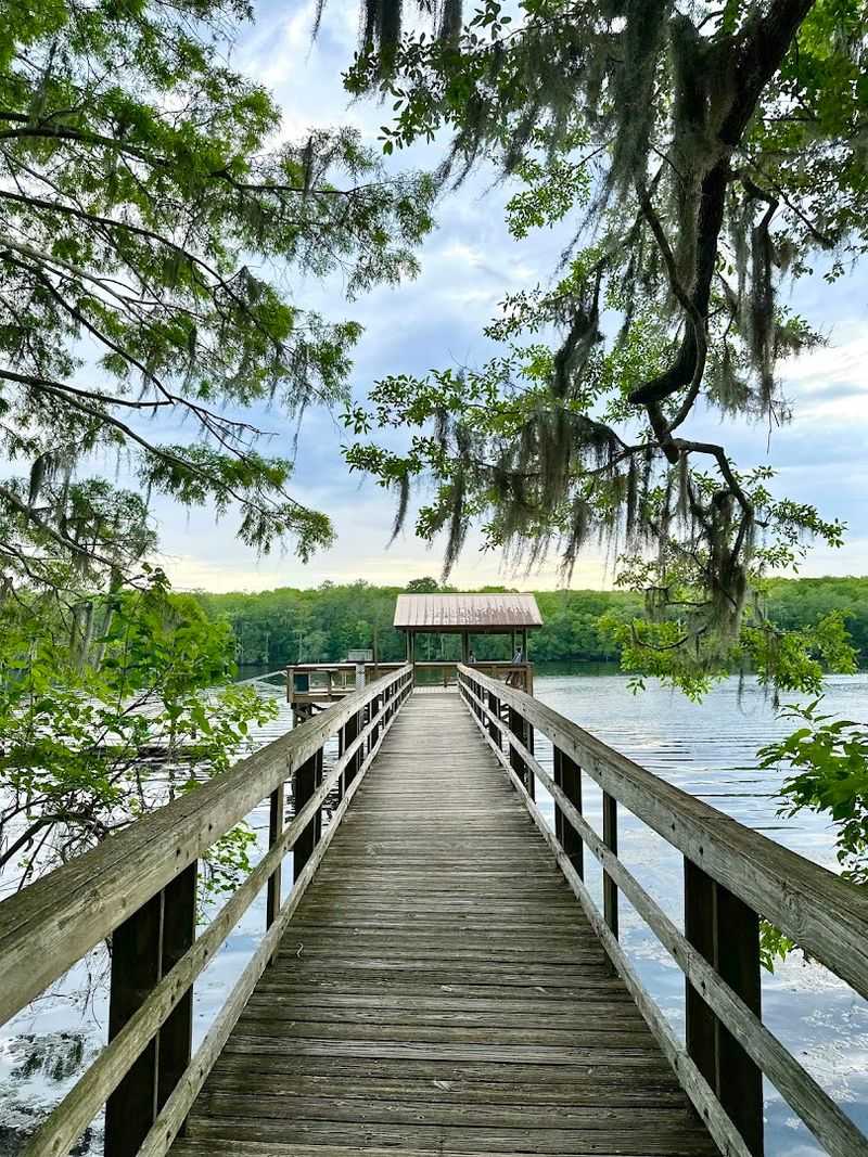 Manatee Springs State Park, Chiefland