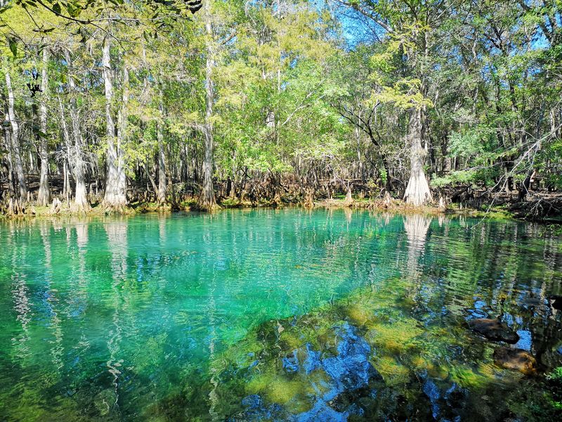 The Springhead: Florida’s Sapphire Heartbeat