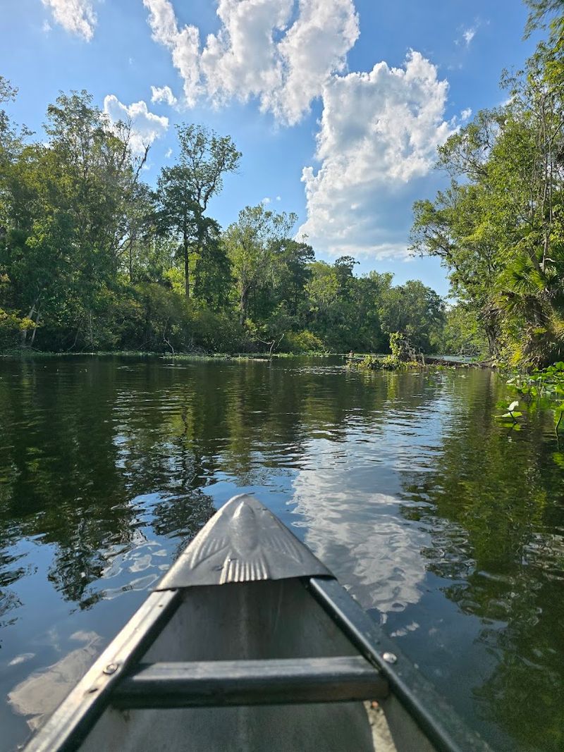 Manatees Seek Refuge In Winter Months