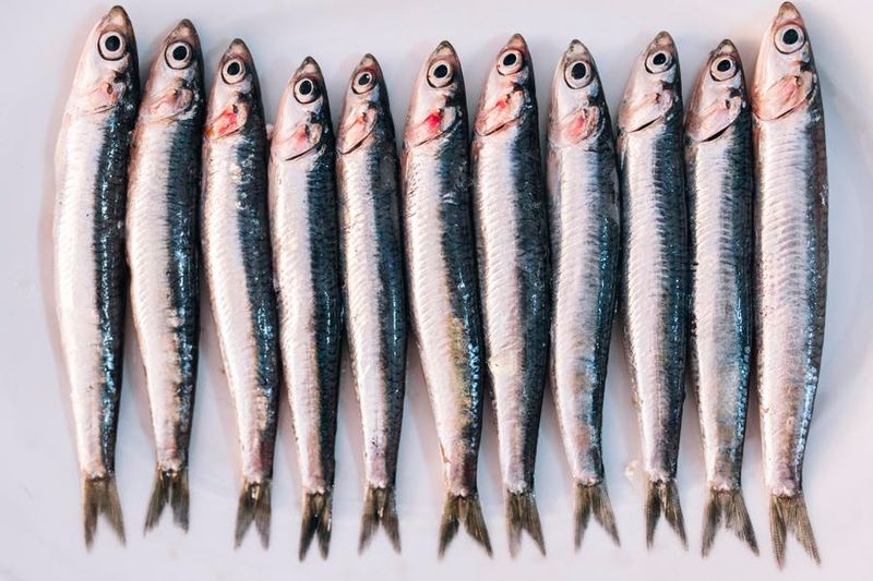 Anchovies