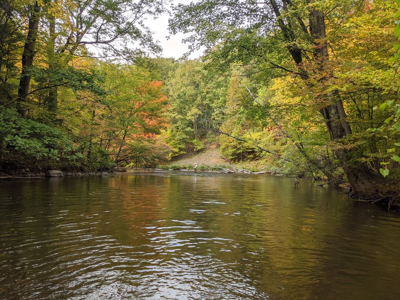Manistee River, Grayling / Manistee National Forest