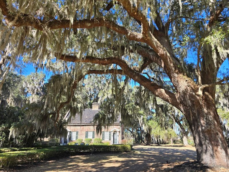 Mansfield Plantation, Georgetown, SC Mansfield Plantation, Georgetown, SC