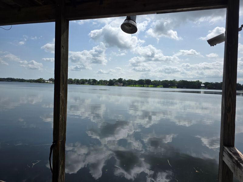 Wildlife Roll Call: Egrets, Anhingas, And That Ripple You Swear Moved