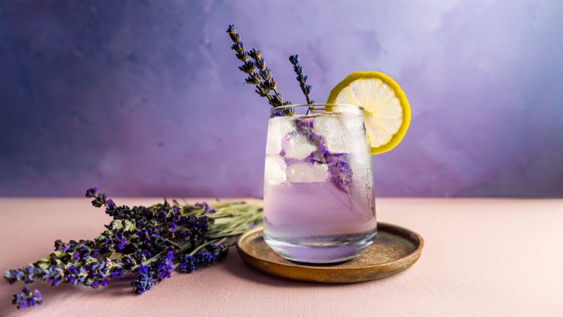 Lavender Lemonade Burst