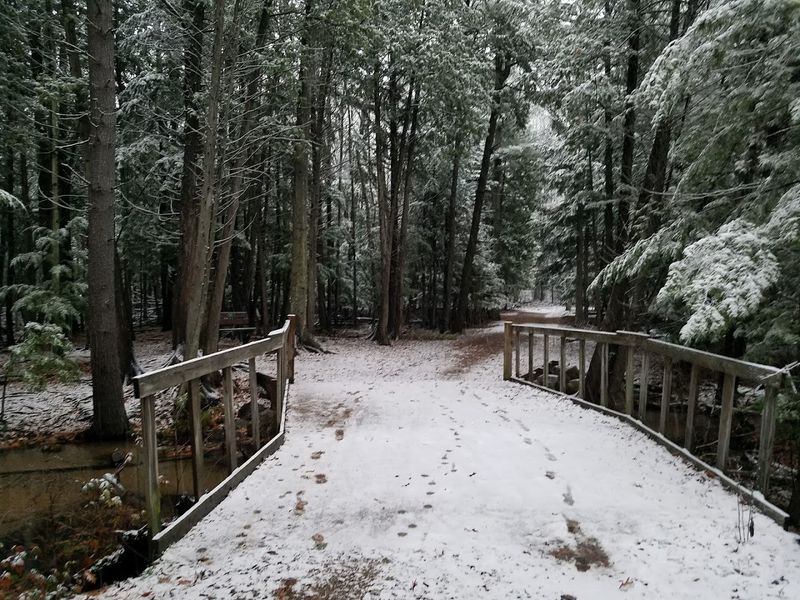 VASA Pathway, Williamsburg