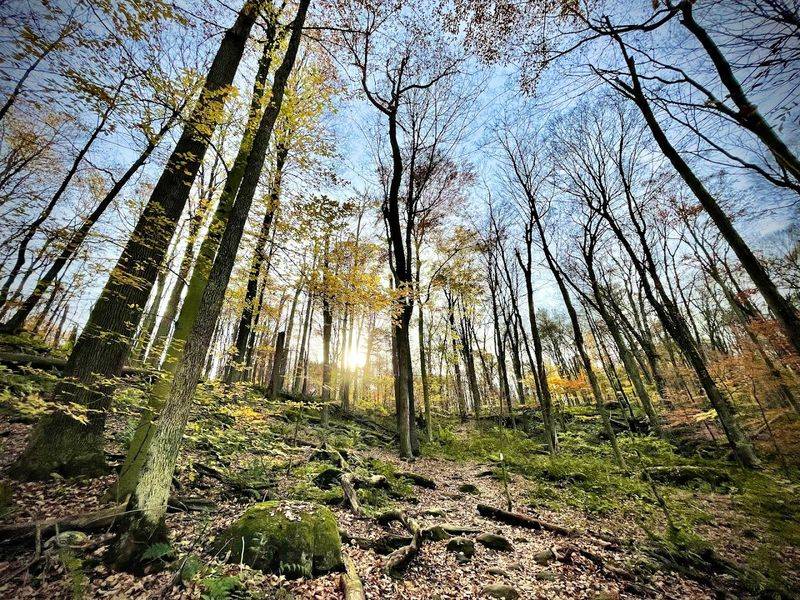 Hiking Trails That Surprise You Around Every Bend