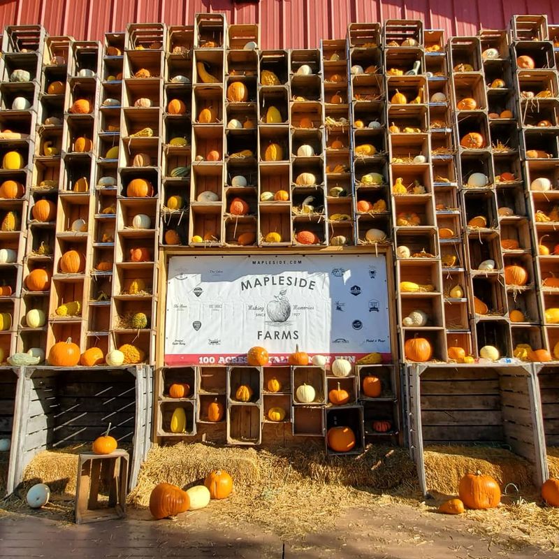 Mapleside Farms, Brunswick
