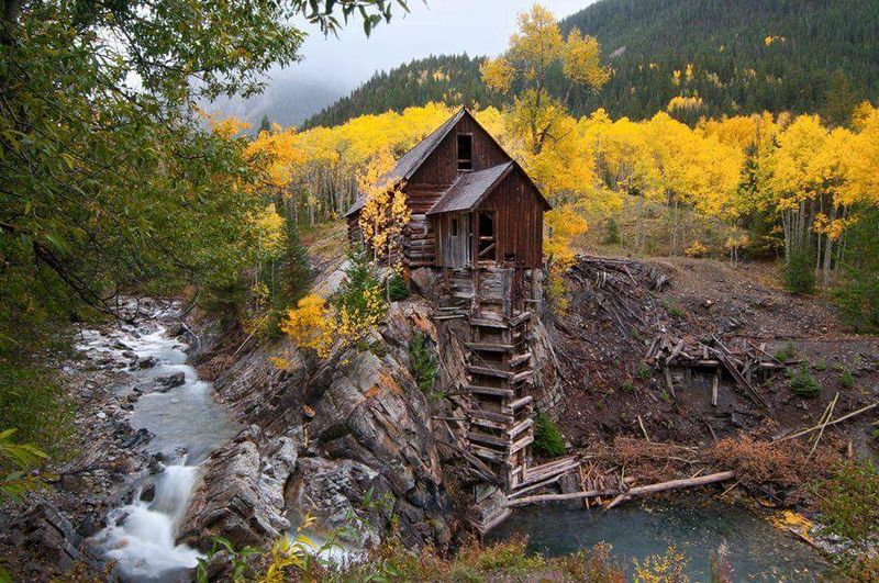 Autumn Aspen Transformation