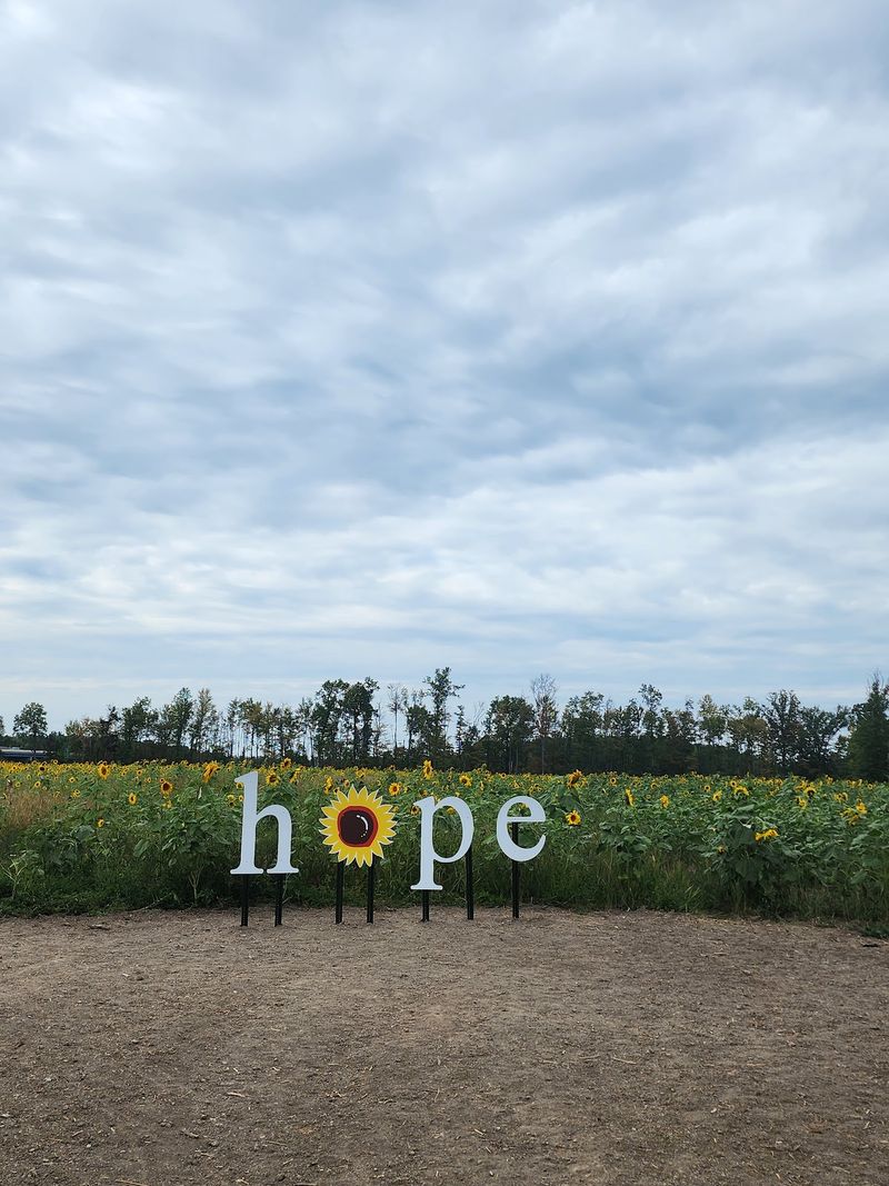 Maria's Field Of Hope, Avon
