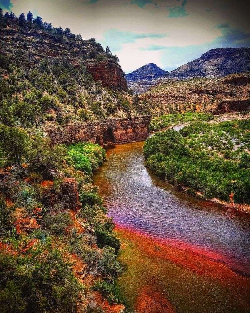 Southwest Wings Spring Fling, Sierra Vista Area