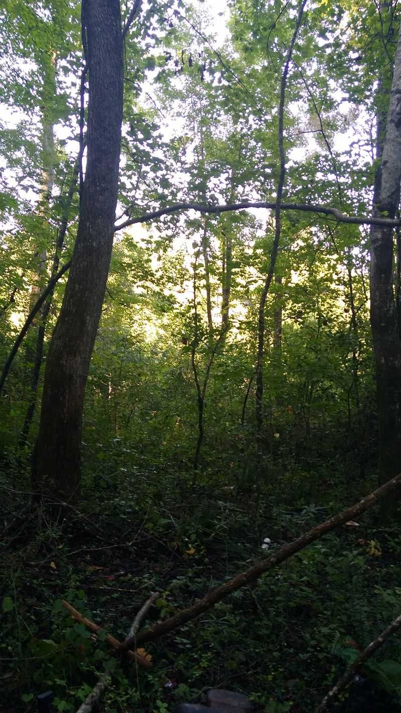 Marietta, Greenville County