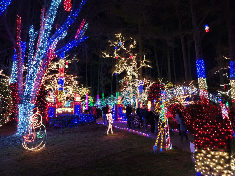 Kennesaw — Lights of Joy, 1510 Ben King Rd NW, Kennesaw