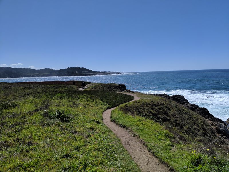 Mendocino Headlands and the Fort Bragg Coast