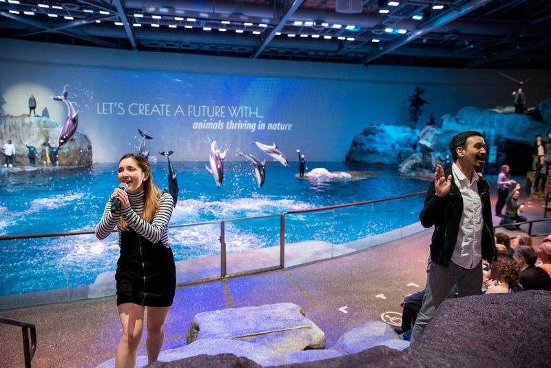 Marine Mammals Bring The Oceanarium Amphitheater To Life