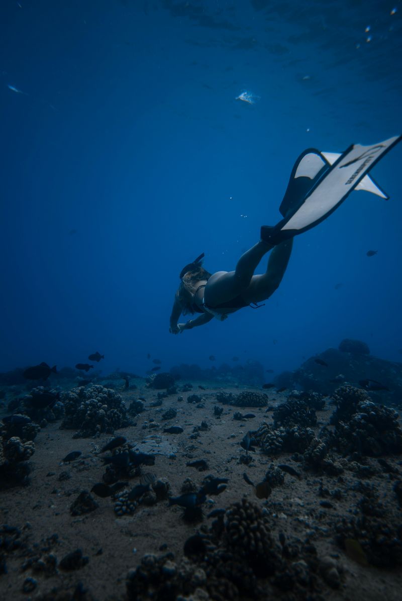 Dive Sites That Attract Global Eco-Tourism