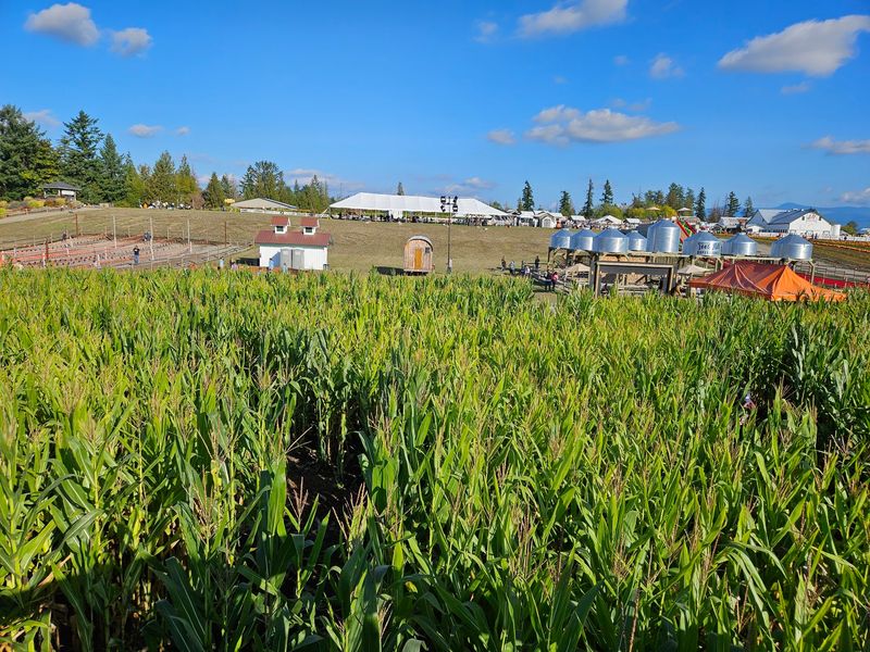 Maris Farms, Buckley, WA