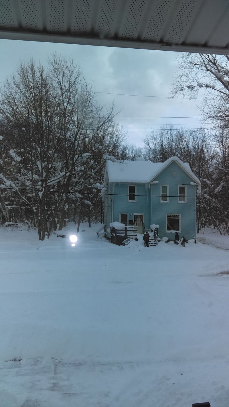 Four-Season Beauty on Nature's Budget