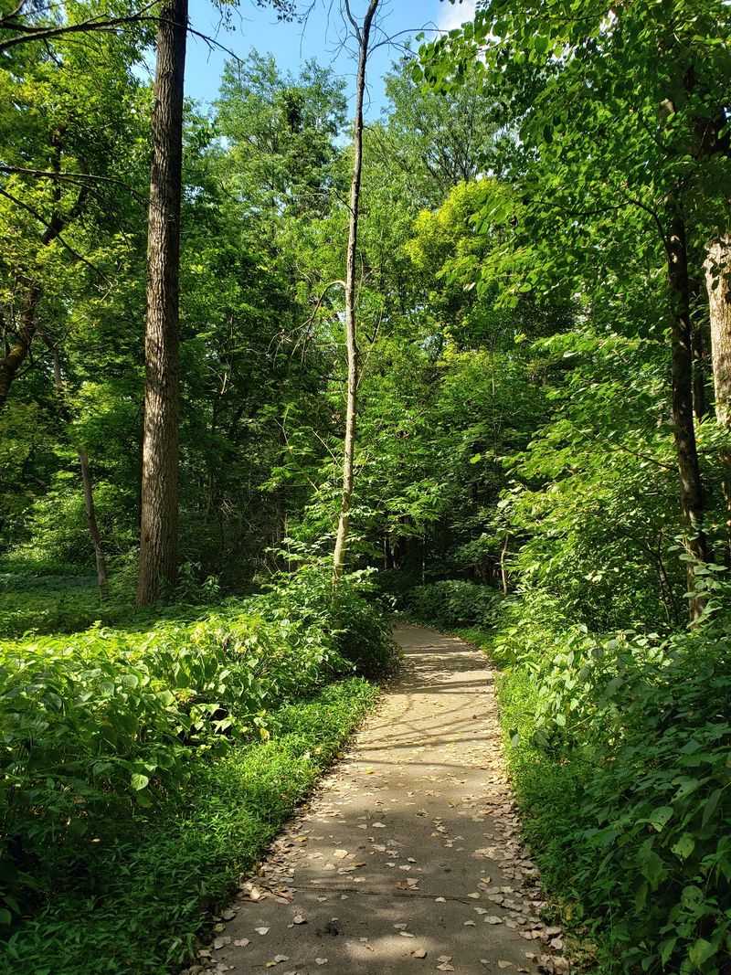Marked trails lead visitors into the spring landscape Marked trails lead visitors into the spring landscape