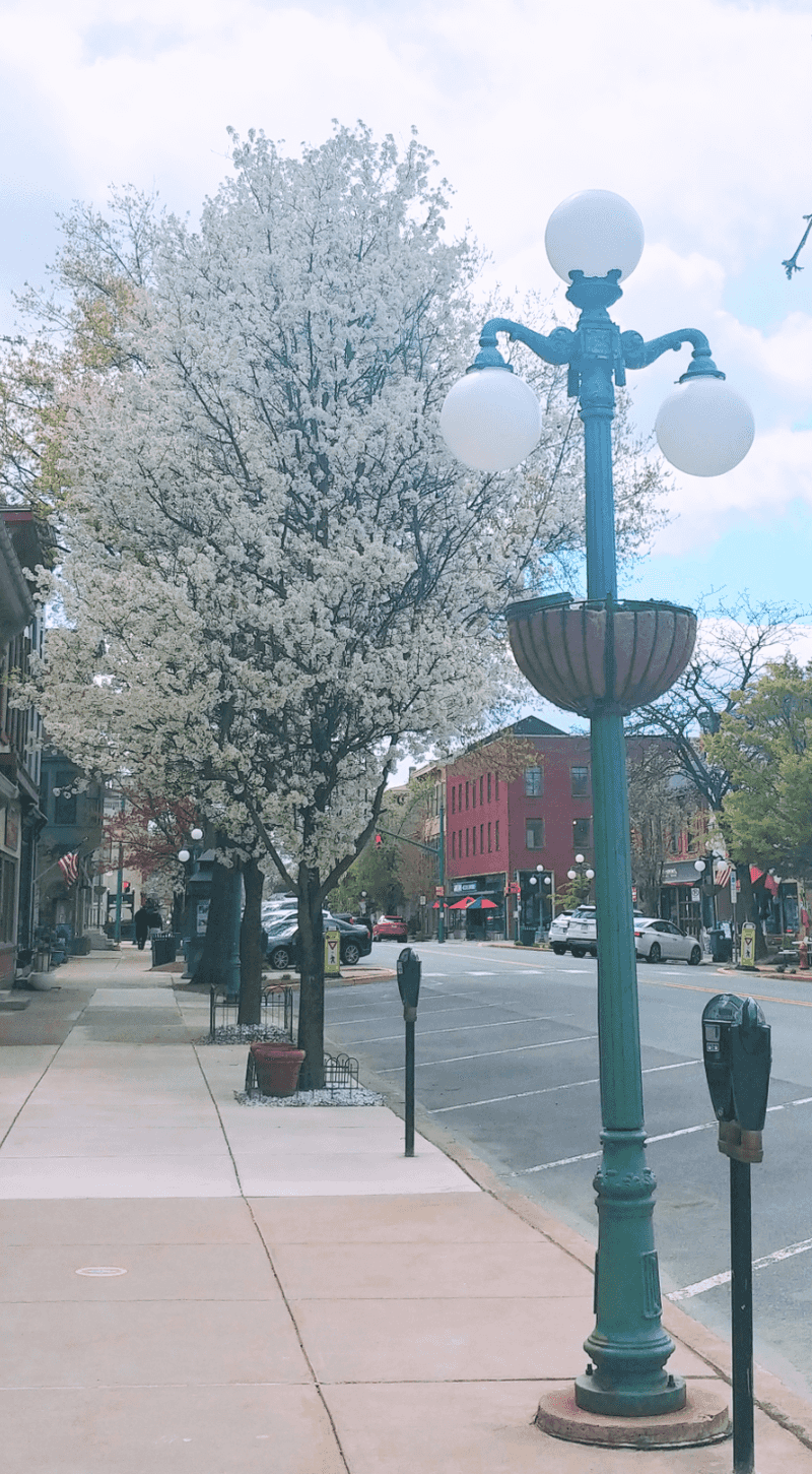 Market Street Feels Like a Postcard