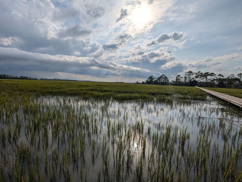 Marsh Boardwalk Birding Trail
