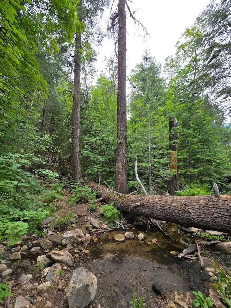 Marshall Gulch And Aspen Trail Loop, Mount Lemmon