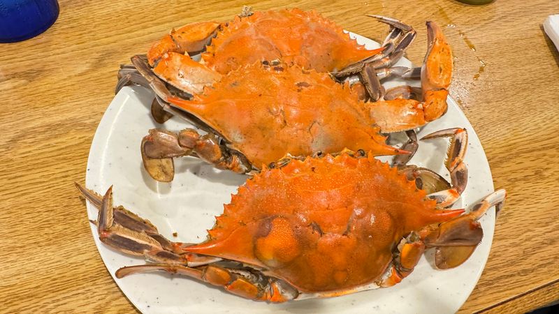 Maryland Crabs Take Center Stage