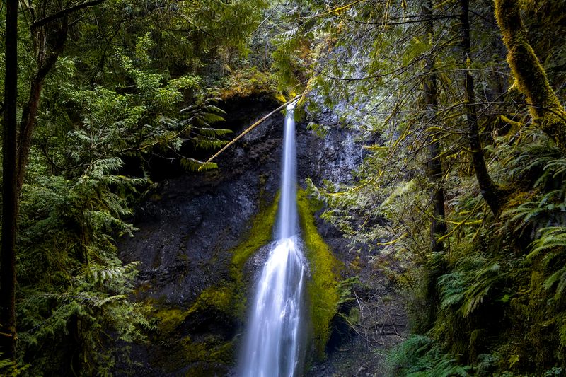 Marymere Falls Itself: A 90-Foot Curtain Of Water