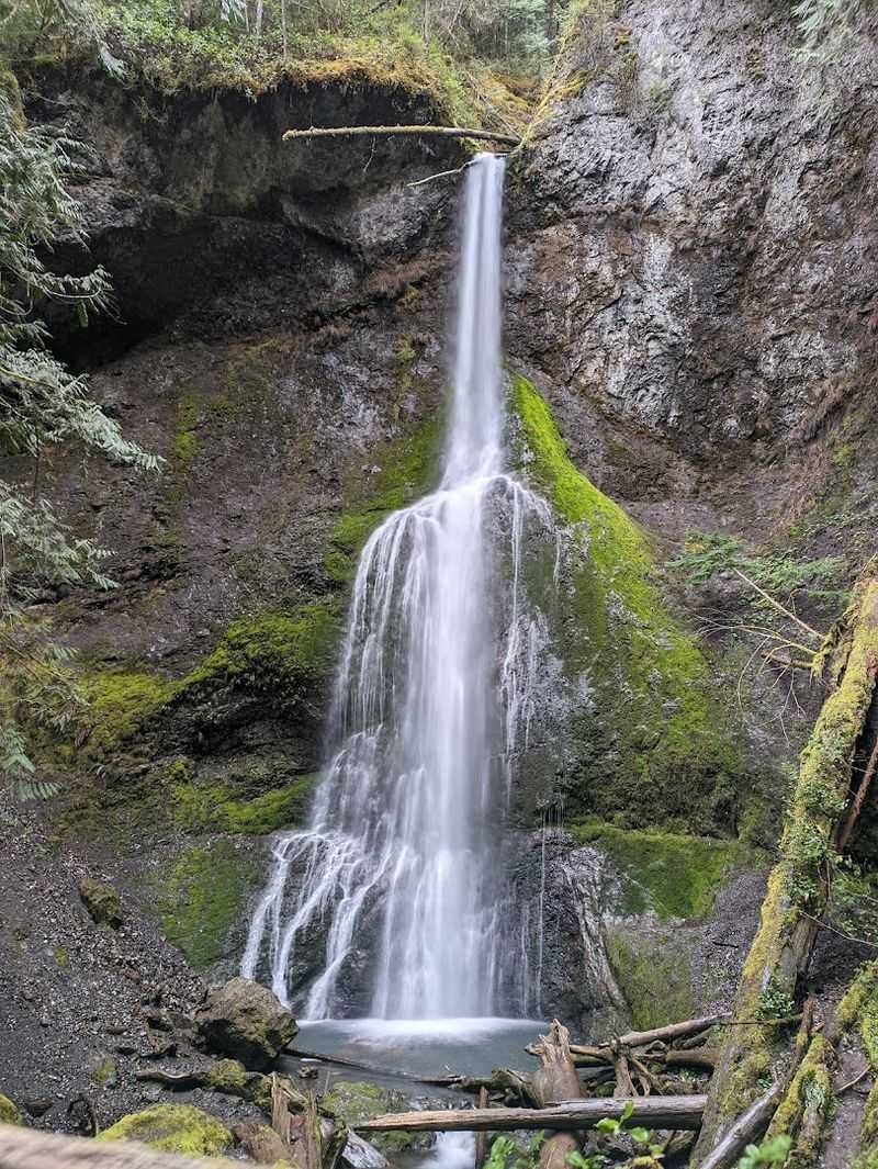 Marymere Falls, Olympic National Park